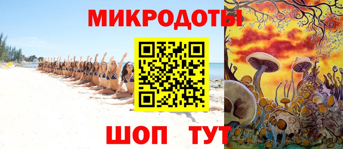 Камень-на-Оби  Галлюциногенные грибы MAGIC MUSHROOMS  где купить наркоту  Вход с VPN 
